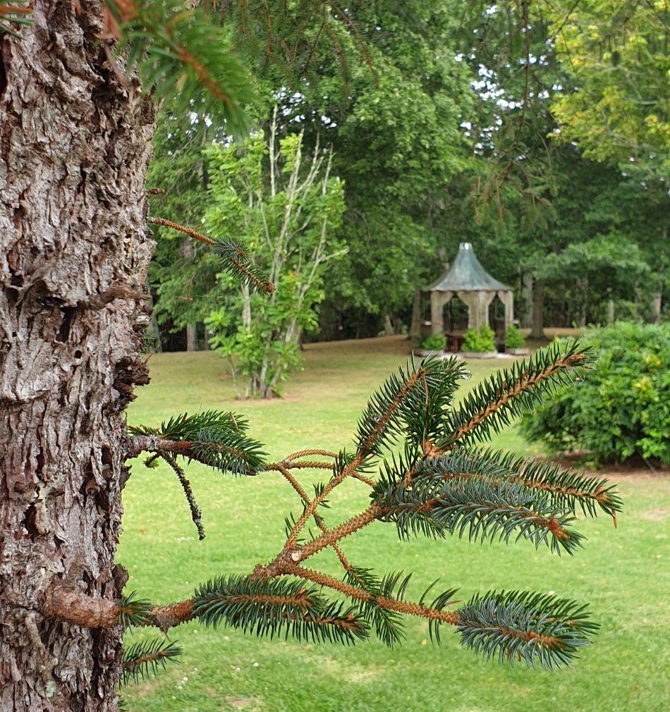 Garden Wedding Venue With Pagoda