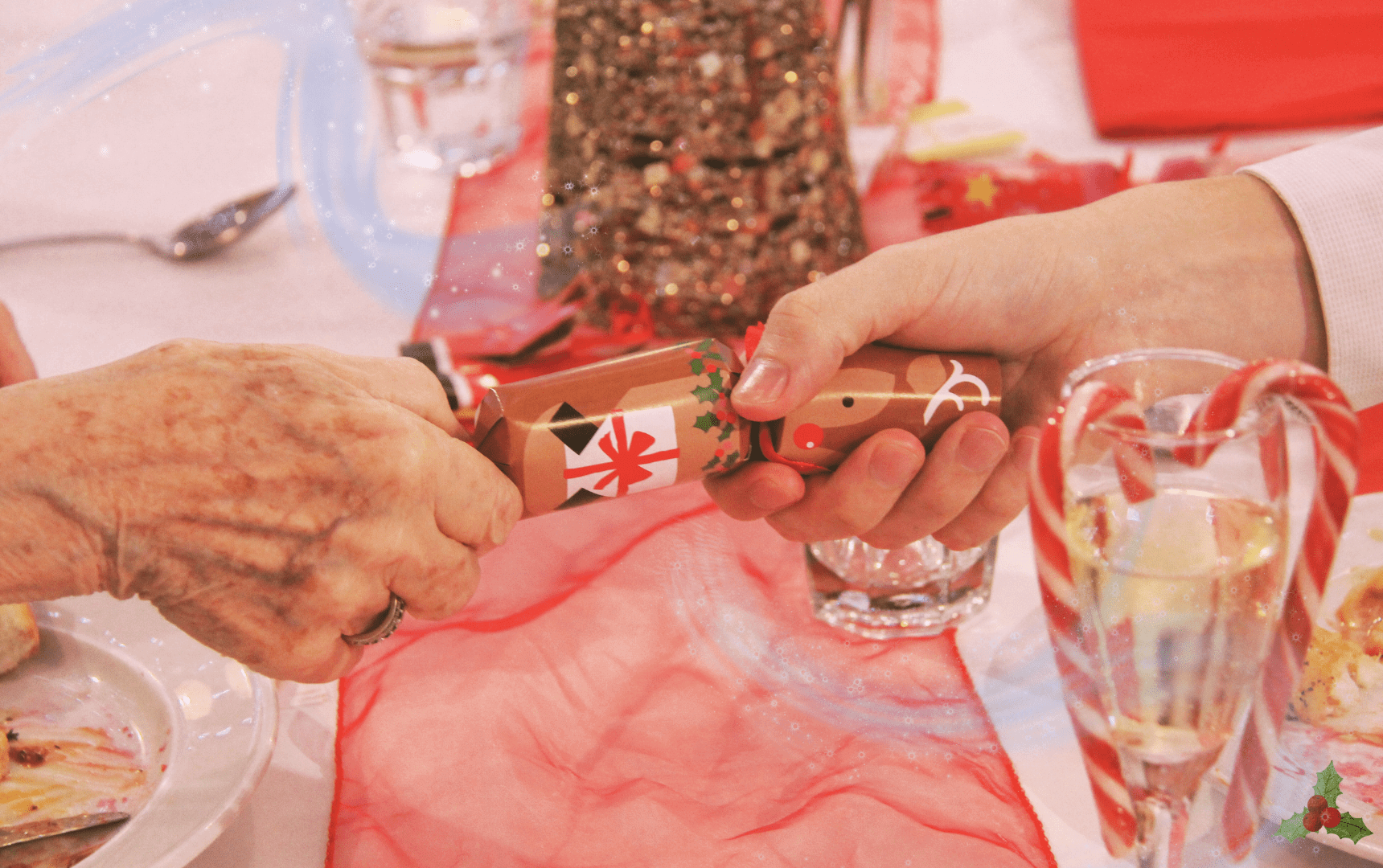 Best Family Christmas Function Venue Auckland
