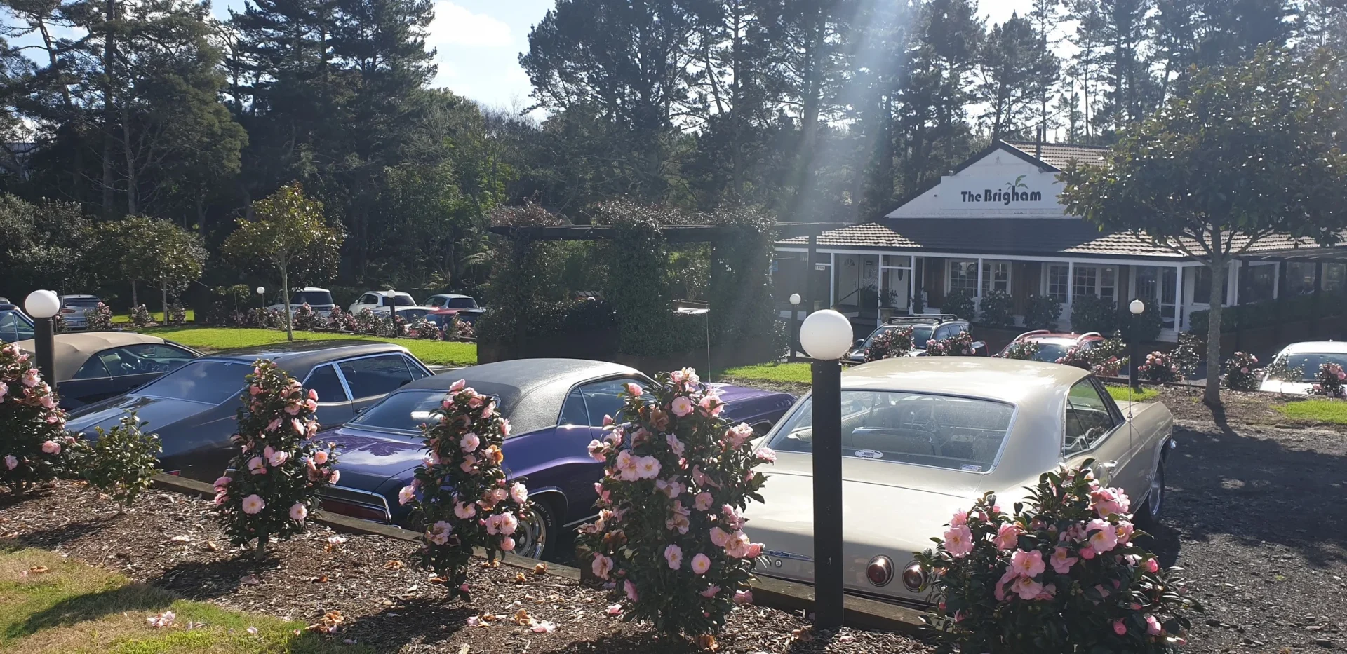 Memorial Service Venues in Auckland, The Brigham